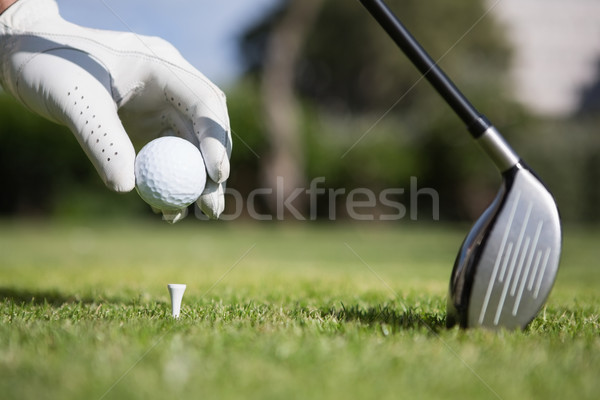 Golfer placing golf ball on tee Stock photo © wavebreak_media