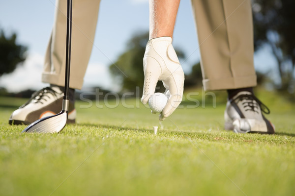 Foto stock: Jogador · de · golfe · golfball · campo · de · golfe · grama · esportes