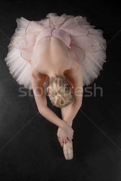 Elegante bailarina adelante rosa ballet Foto stock © wavebreak_media