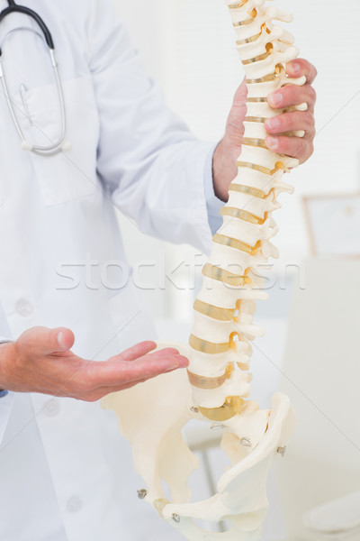 Orvos mutat anatómiai gerincoszlop férfi orvos klinika Stock fotó © wavebreak_media