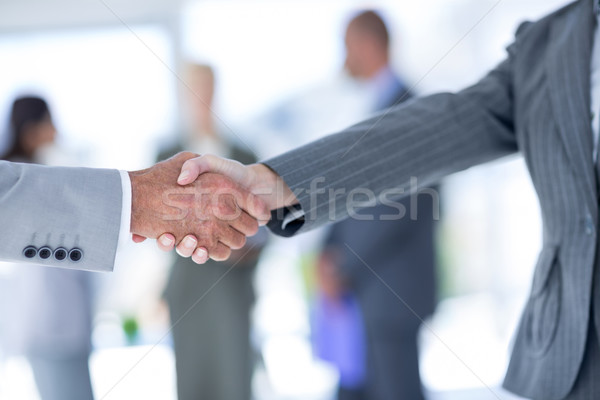 Businessman shaking hands with a co worker Stock photo © wavebreak_media