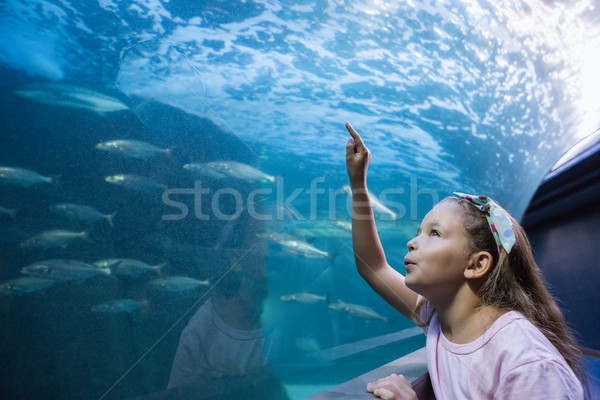 Küçük kız bakıyor balık tank akvaryum çocuk Stok fotoğraf © wavebreak_media