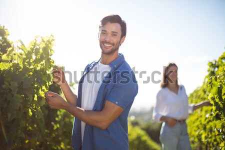 Stock photo: Vintner talking on mobile phone while examining grapes