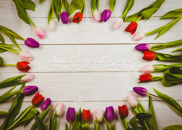 Tulips forming frame  Stock photo © wavebreak_media