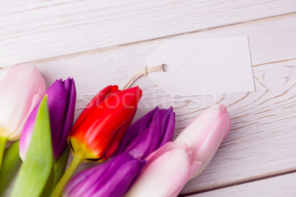 Monte tulipas branco cartão mesa de madeira verde Foto stock © wavebreak_media