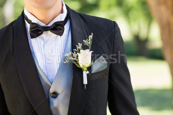 Bridegroom wearing boutonniere in garden Stock photo © wavebreak_media