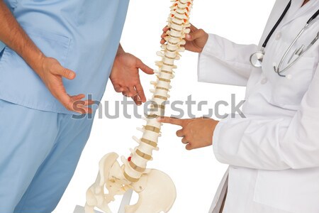 Stock fotó: Középső · rész · orvosok · megbeszél · csontváz · modell · oldalnézet