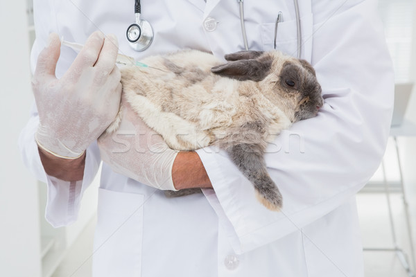 Lekarz weterynarii wstrzykiwań królik medycznych biuro pracy Zdjęcia stock © wavebreak_media