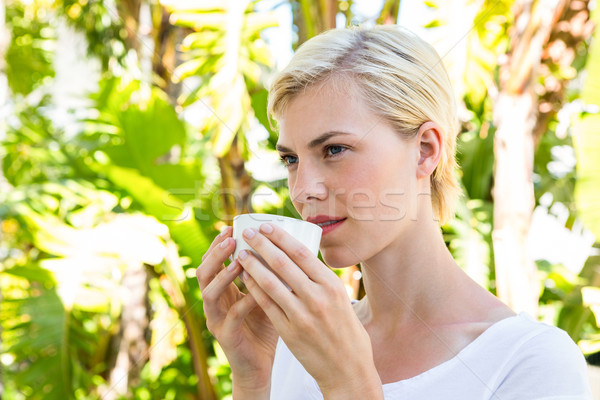 Stockfoto: Aantrekkelijk · blonde · vrouw · drinken · hot · buiten