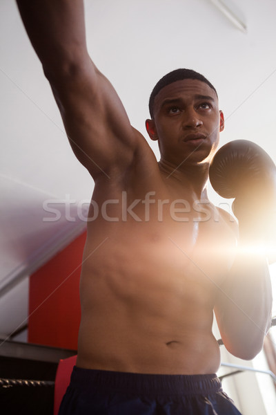 Stock fotó: Határozott · férfi · gyakorol · box · fitnessz · stúdió