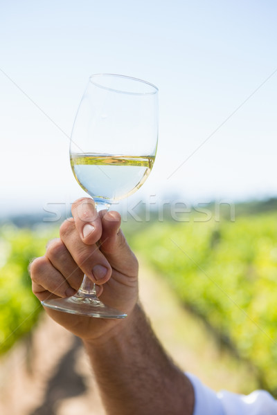 Vintner holding glass of wine Stock photo © wavebreak_media