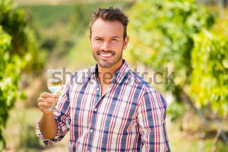 Portré áll ásó szőlőskert napos idő farm Stock fotó © wavebreak_media