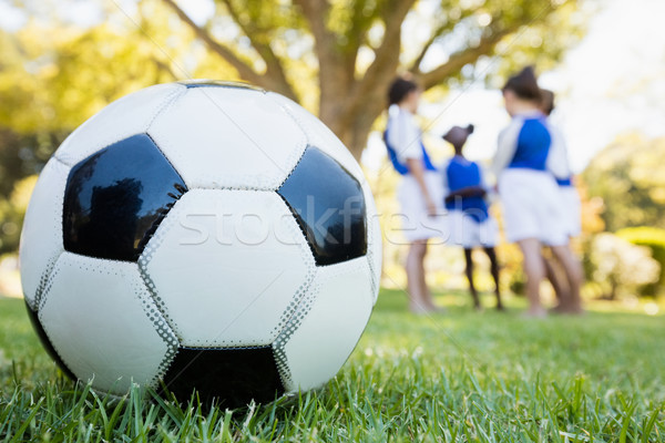 Extreme close up view of soccer balloon  Stock photo © wavebreak_media