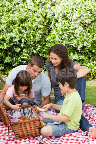 Familie Garten Mädchen Natur Gesundheit Hintergrund Stock foto © wavebreak_media