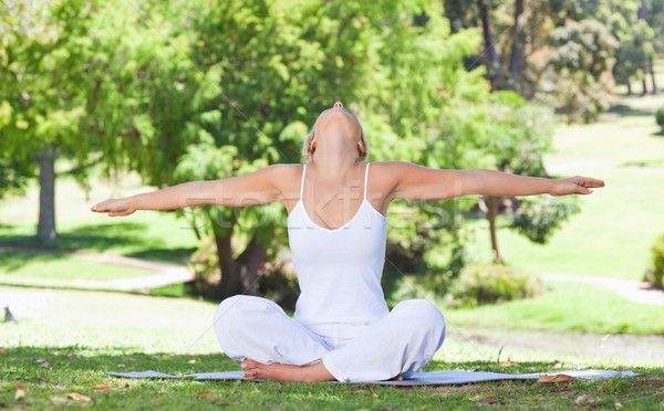 Young woman on the lawn doing yoga exercises Stock photo © wavebreak_media