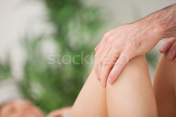 Legs being held by a practitioner indoors Stock photo © wavebreak_media