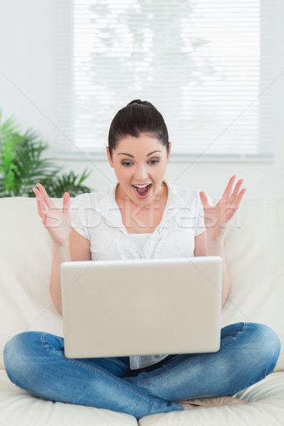 Foto stock: Sortudo · mulher · sessão · sofá · sala · de · estar · usando · laptop