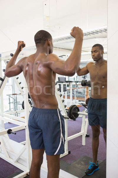 赤膊上陣 肌肉發達 男子 肌肉 健身房 後視圖 商業照片 © wavebreak_media