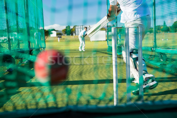 Low section of spoertsman playing cricket at field Stock photo © wavebreak_media