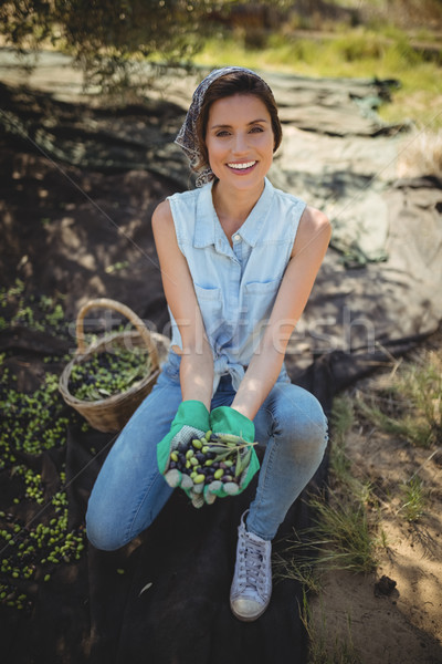Smiling young woman collecting olives at farm Stock photo © wavebreak_media