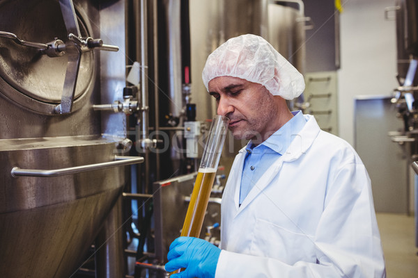 Manufacturer examining beer in test tube at brewery Stock photo © wavebreak_media