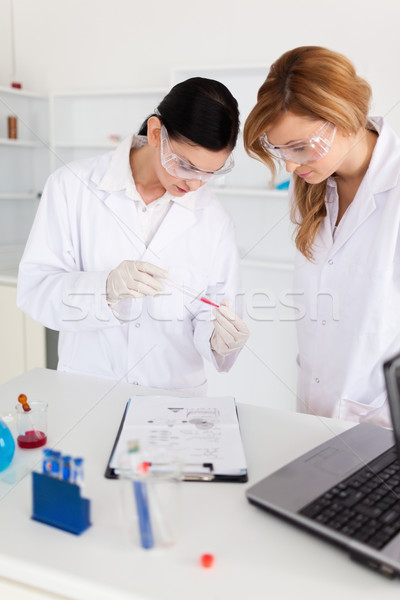 Two scientists observing a test tube in a lab Stock photo © wavebreak_media