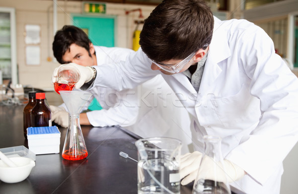 Students making an experiment in a laboratory Stock photo © wavebreak_media