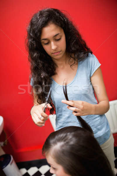 Portrait jeunes Homme salon de coiffure cheveux Photo stock © wavebreak_media