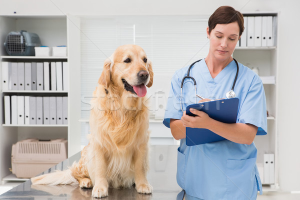Tierarzt Hund schriftlich Zwischenablage medizinischen Stock foto © wavebreak_media