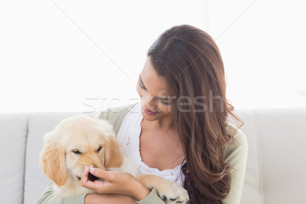 Stockfoto: Gelukkig · vrouw · spelen · puppy · jonge · vrouw · sofa
