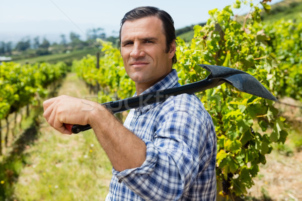 Portrait of vintner standing with shovel in vineyard Stock photo © wavebreak_media