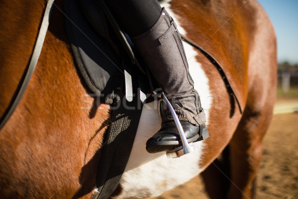 Chłopca jazda konna konia ranczo szczęśliwy lata Zdjęcia stock © wavebreak_media