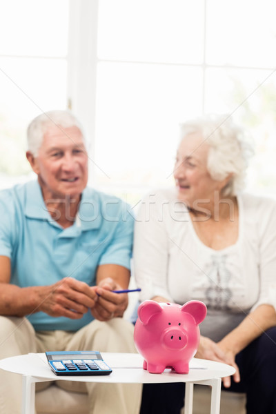 Idős pár takarékosság pénz otthon kéz mosoly Stock fotó © wavebreak_media