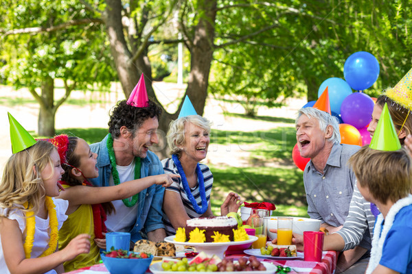 Glückliche Familie Geburtstag Park Party Mann Stock foto © wavebreak_media