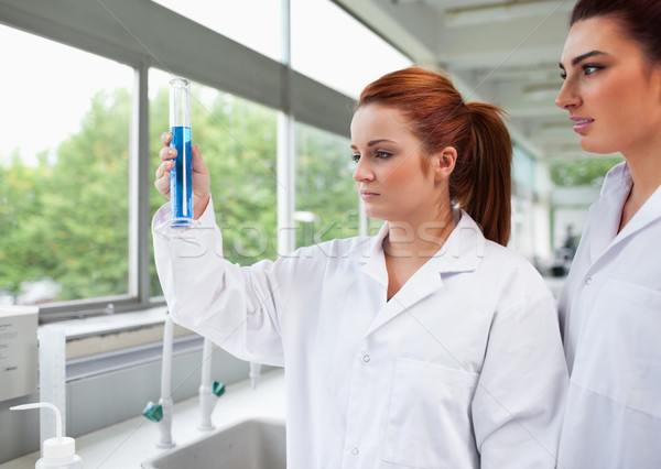 Science students looking at a graduated cylinder in a laboratory Stock photo © wavebreak_media