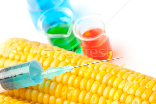 Jeringa maíz blanco vidrio verde medicina Foto stock © wavebreak_media