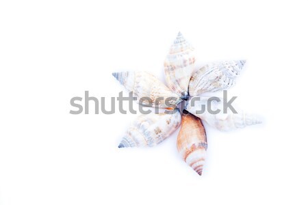 Foto stock: Seis · círculo · blanco · flor · arena · estrellas