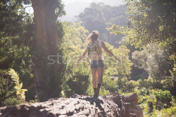後視圖 女 徒步旅行者 步行 森林 年輕 商業照片 © wavebreak_media