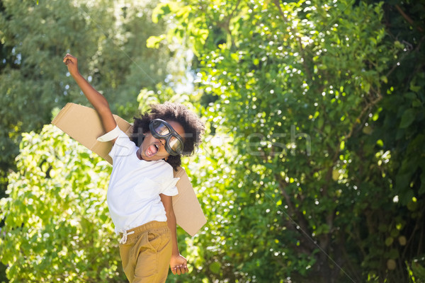 Boy playing as an aviator at park Stock photo © wavebreak_media