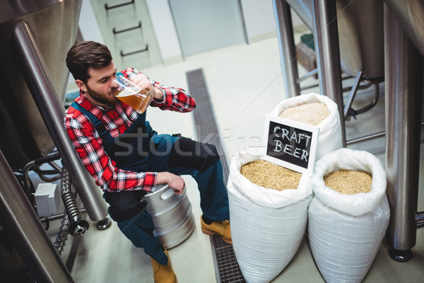 üretici içme bira bira fabrikası görmek Stok fotoğraf © wavebreak_media