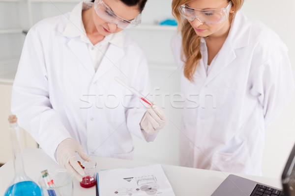 Two scientist women observing a test tube in a lab Stock photo © wavebreak_media