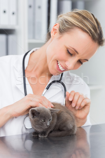 Stockfoto: Vrouwelijke · dierenarts · onderzoeken · kitten · gelukkig · ziekenhuis