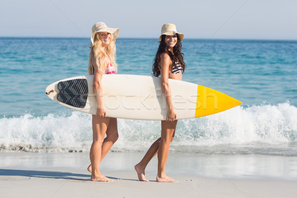 Dois amigos mulher feliz verão retrato Foto stock © wavebreak_media