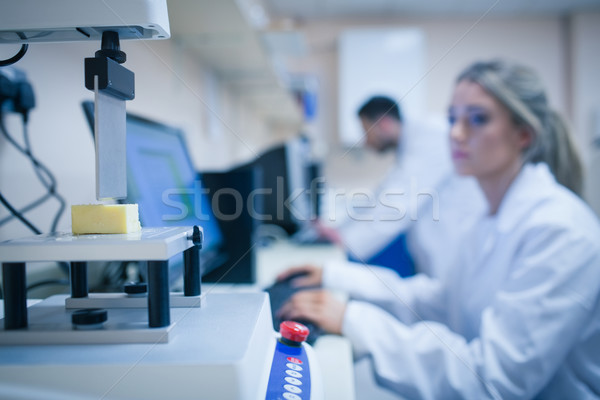 Alimentaire scientifique technologie fromages Université école [[stock_photo]] © wavebreak_media