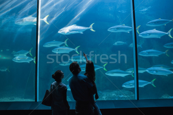 [[stock_photo]]: Famille · heureuse · regarder · poissons · réservoir · aquarium · amour