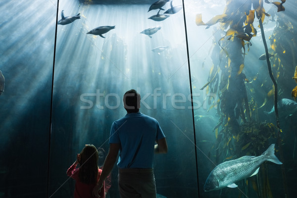 Father and daughter looking at fish tank Stock photo © wavebreak_media