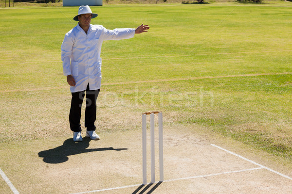 Stockfoto: Cricket · scheidsrechter · geen · bal · wedstrijd