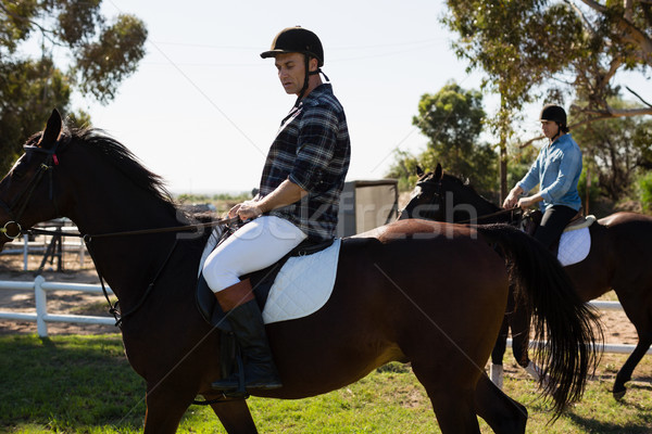 Dois masculino amigos equitação cavalo rancho Foto stock © wavebreak_media