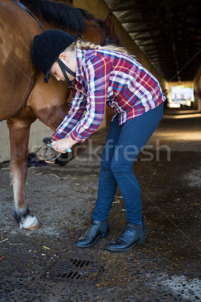 Stock photo: Girl grooming the horse