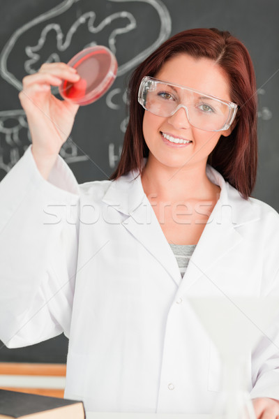Porttrait of a young woman showing a petri dish in a classroom Stock photo © wavebreak_media